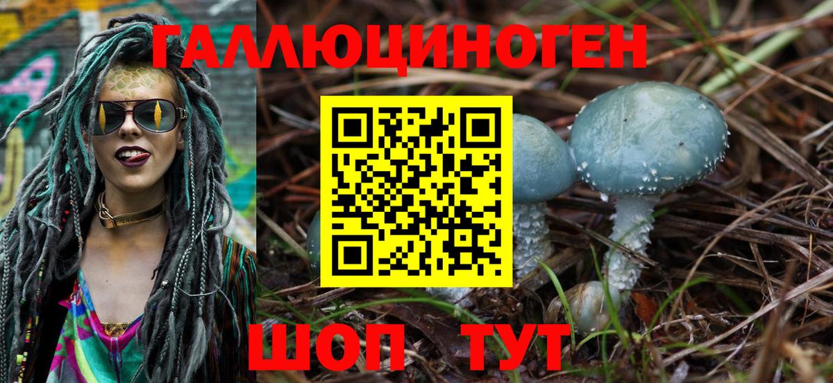 Калач-на-Дону  наркота  Вход с VPN  Псилоцибиновые грибы Psilocybine cubensis 