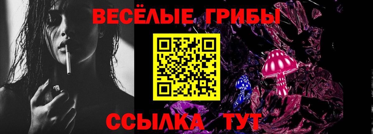 Псилоцибиновые грибы Psilocybine cubensis Калач-на-Дону